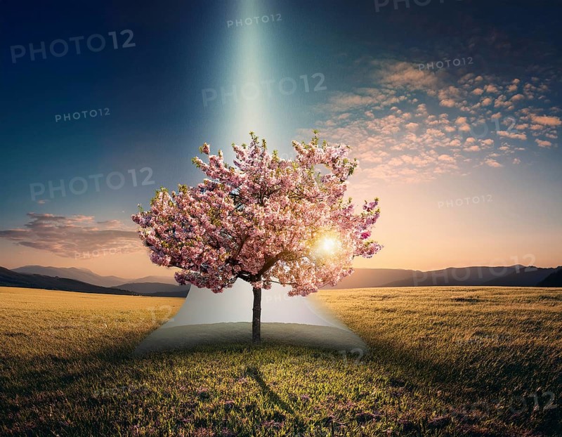 Life Concept. Existence survival being consciousness. Growth of new life, AI generated
