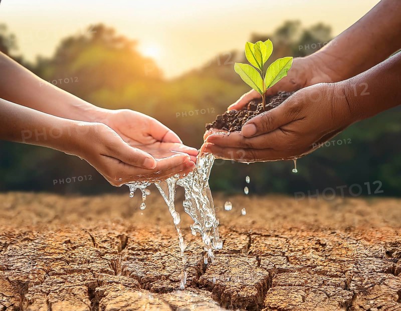 A close-up of hands nurturing a young plant by pouring water, symbolizing hope, growth, and environmental conservation in arid conditions, AI generated