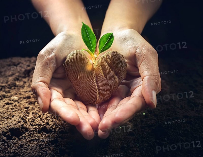 Hands gently cradle soil with a heart-shaped tree, symbolizing environmental care, growth, and love, AI generated