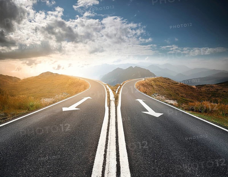 Directional Signpost at Forked Path Illustrating Decision and Choices in Nature, AI generated