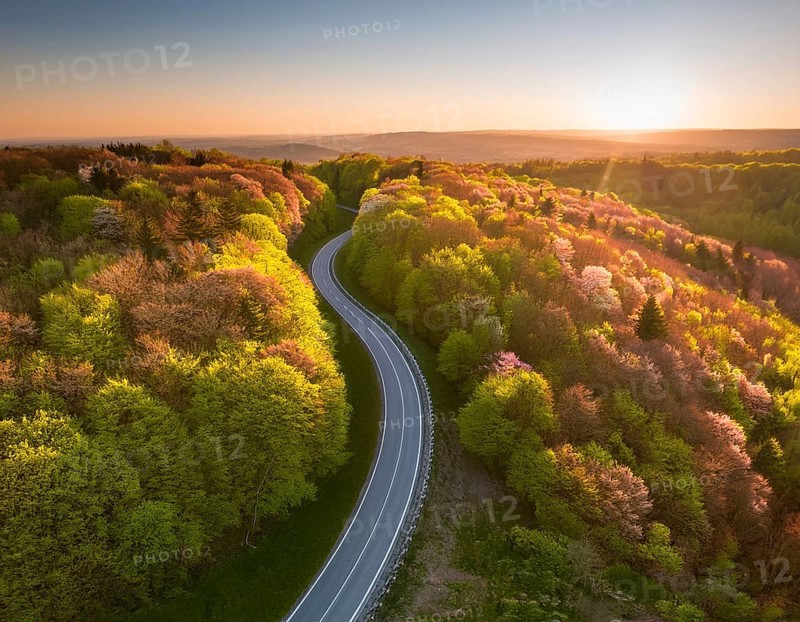 A scenic aerial view of a serpentine road surrounded by lush green forest, illuminated by soft golden hour sunlight, conveying serenity and natural beauty in a springtime setting, AI generated