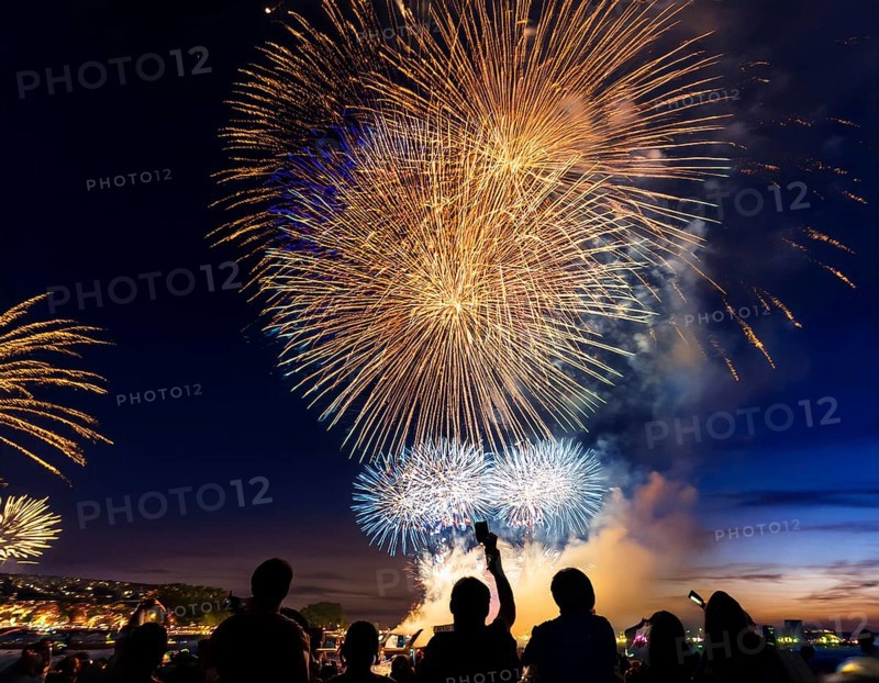 Thrilling fireworks illuminate the dark sky as a crowd gathers to enjoy the dazzling display, creating an atmosphere of festivity and wonder, AI generated