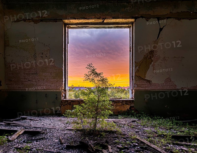 An abandoned building reveals a stunning view of a colorful sunset through a decayed window, surrounded by greenery reclaiming the space, symbolizing hope, resilience and the beauty of nature, AI generated