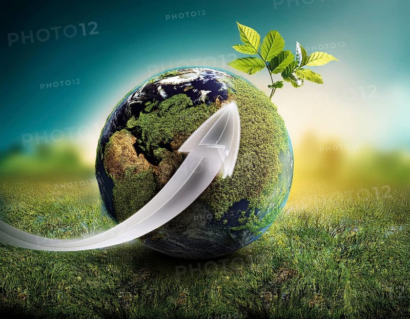 Ecology and Environment concept. Environment Earth Day In the hands of trees growing seedlings, reduce global warming, AI generated