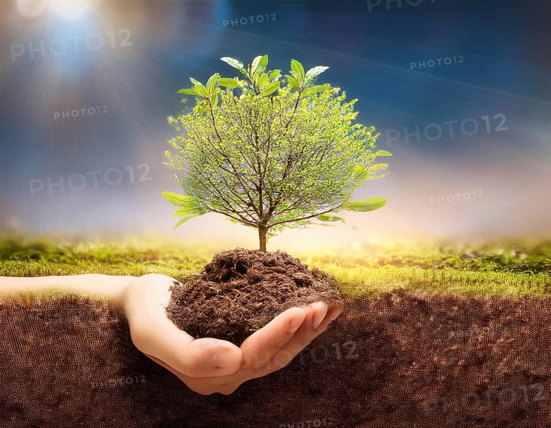 Life Concept. Existence survival being consciousness. Growth of new life, AI generated