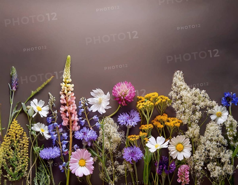 A variety of colorful wildflowers flourish on a hillside against a blurred mountainous backdrop. The flowers reflect vibrancy, serenity, and the beauty of nature in a peaceful outdoor environment, AI generated