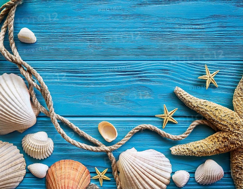 Frame of rope, seashells and starfishes is lying on a wooden textured blue background, AI generated
