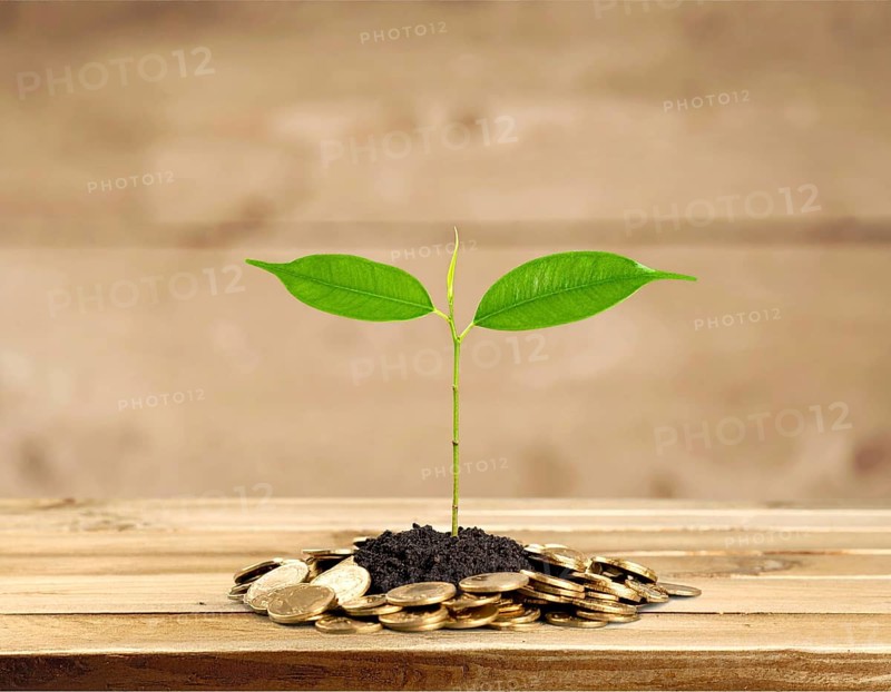 Coins with seedling eco saving concept image symbolizing financial growth, sustainable development, green economy, and prosperity, AI generated