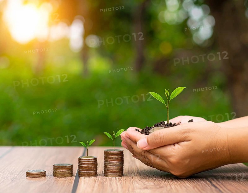 Coins with seedling eco saving concept image symbolizing financial growth, sustainable development, green economy, and prosperity, AI generated