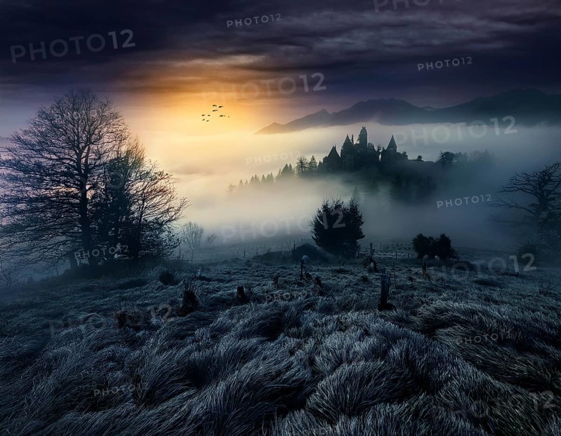 Mysterious dark misty forest dark magical forest night scary panorama halloween landscape, AI generated