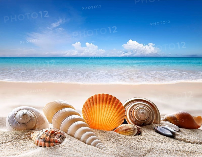 Composition with beach water, sand, starfish and seashells. Summer vacations concept, AI generated