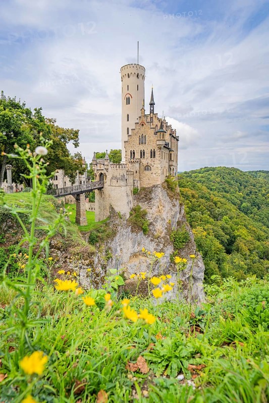 Romantic castle on a steep cliff with yellow flowers in the foreground and surrounded by green nature, Lichtenstein Castle, Lichtenstein, Swabian Alb, Germany
