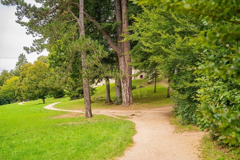 Winding path through a green park landscape with tall trees, Lichtenstein Castle, Lichtenstein, Swabian Alb, Germany