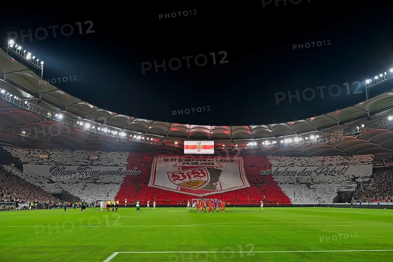 Choreo, choreography, fan campaign German Cup Winner VfB Stuttgart, Football Bundesliga, MHPArena, MHP Arena Stuttgart, Baden-Württemberg, Germany