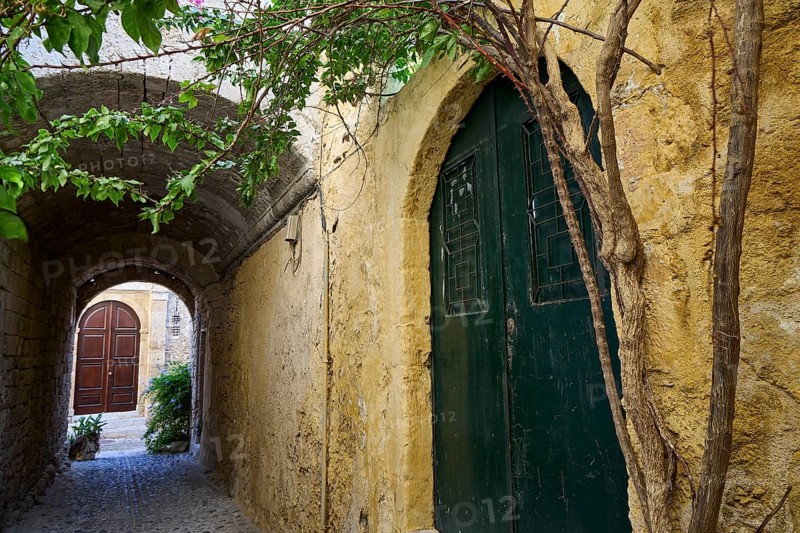 Narrow alley with stone walls and a greenish wooden door, enlivened by plants in a historic setting, Rhodes Old Town, Rhodes Town, Rhodes, Dodecanese, Greek Islands, Greece