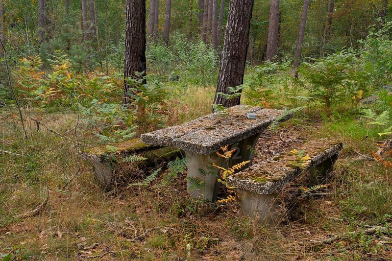 Photograph of a weathered seating area or resting place made of exposed aggregate concrete standing in a forest, Neustadt am Rübenberge, Hanover, Lower Saxony, Germany
