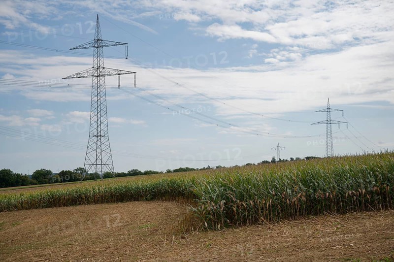 Arable farming near Untermünkheim, maize field, maize, maize field, tradition, cultural landscape, agriculture, power line, power line, mast, power pole, Kocher valley, Kocher, Hohenlohe, Germany
