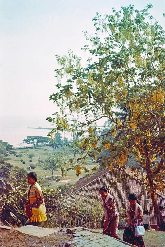 View over Coronation Park to coastline prior to land reclamation, Malacca or Melaka, Malaya, Malaysia, south east Asia 1964 taken from church of Saint Paul hilltop