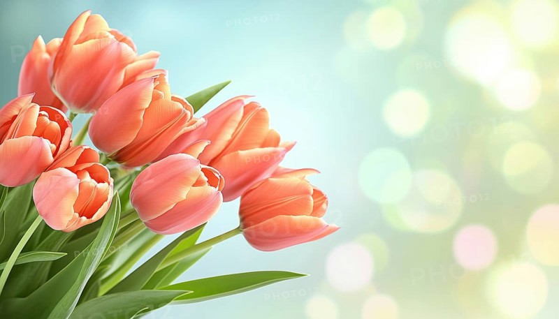 Spring Special Offer: Exclusive Discounts And Vibrant Tulip Flowers For Web, Wallpapers, Flyers, And Voucher Discounts. Don'T Miss Out!, AI generated