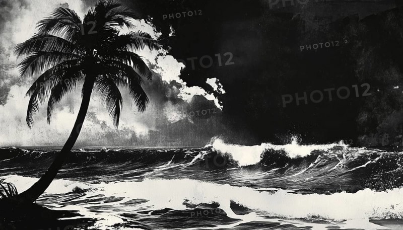Vintage Music Poster: Monochrome Rockstar Coconut Palm Tree Wave Ocean Board Surf Summer In Mezzotint Photocopy Effect For Grunge Punk Y2k Collage, AI generated