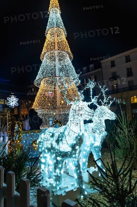 Christmas lights illuminating reindeer pulling sleigh near decorated christmas tree in bayonne, france at night