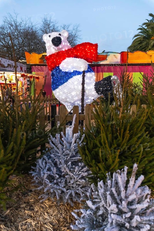 Illuminated polar bear with red scarf and blue vest ice skating at a christmas market in bayonne, france, surrounded by fir trees