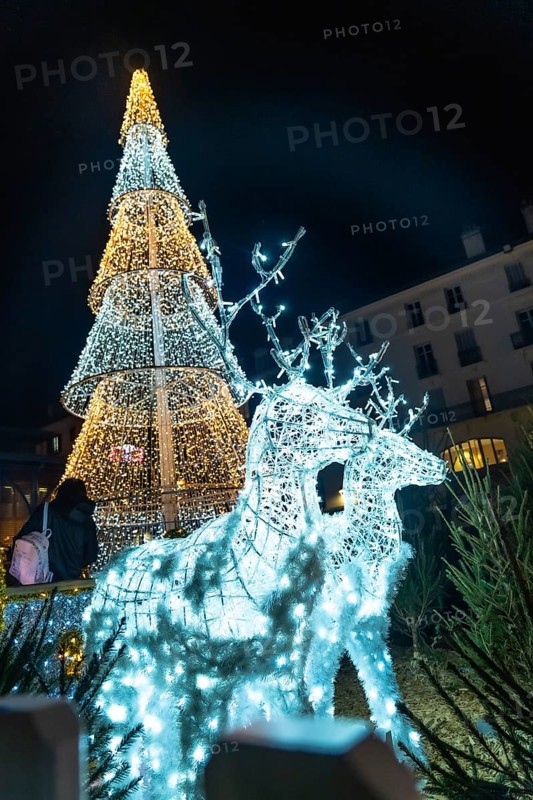 Christmas spirit illuminates bayonne, france, with a towering christmas tree and a reindeer light sculpture creating a festive atmosphere