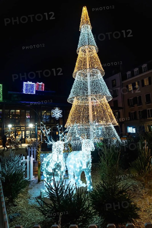 Luminous christmas tree and reindeer decorations create a festive atmosphere in bayonne, france, during the holiday season