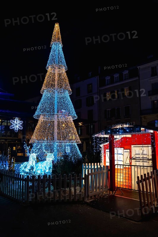 Luminous christmas decorations illuminating bayonne city center at night with reindeer and christmas tree
