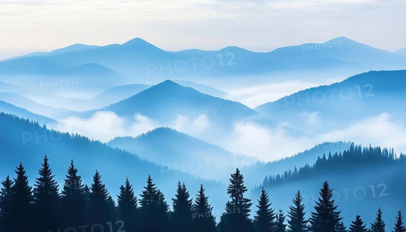 Pine Trees Forest Fading Into The Distance On Light Blue Mountains In Dense Fog - A Beautiful Scene Of Pine Trees Disappearing Into The Mist On Distant Mountains, AI generated