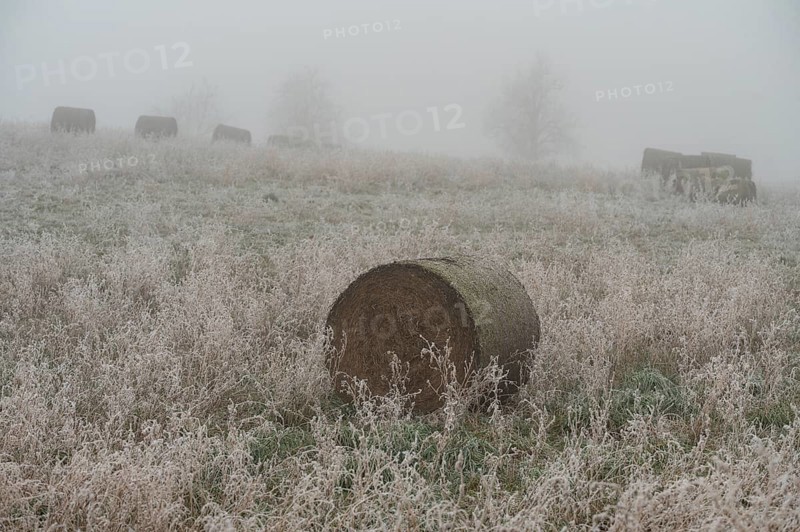 Hoarfrost on a field in winter with fog, straw rolls and straw bales, Erfurt, Thuringia, Germany