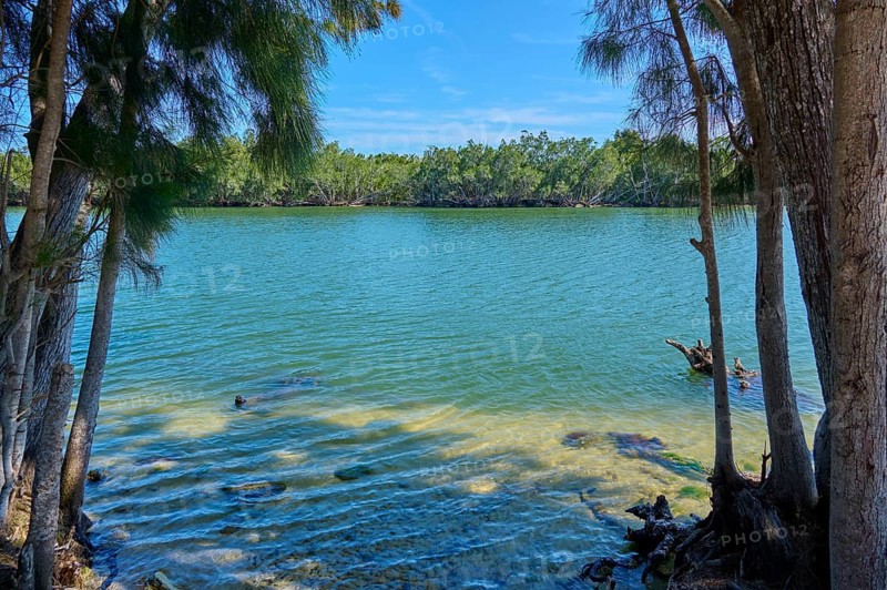 View through trees to calm water, peaceful scenery, Haulover Canal, Merritt Island National Wildlife Refuge, Mims, Florida, USA