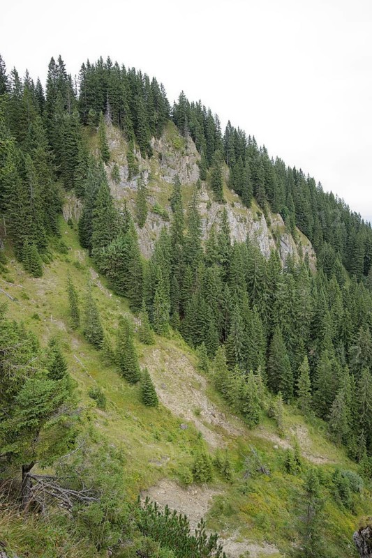 Ammergau Alps, Laber, hiking, mountain hiking, Ammergau, Oberammergau, mountains, Alps, Bavaria, Upper Bavaria, Garmisch-Partenkirchen, Germany