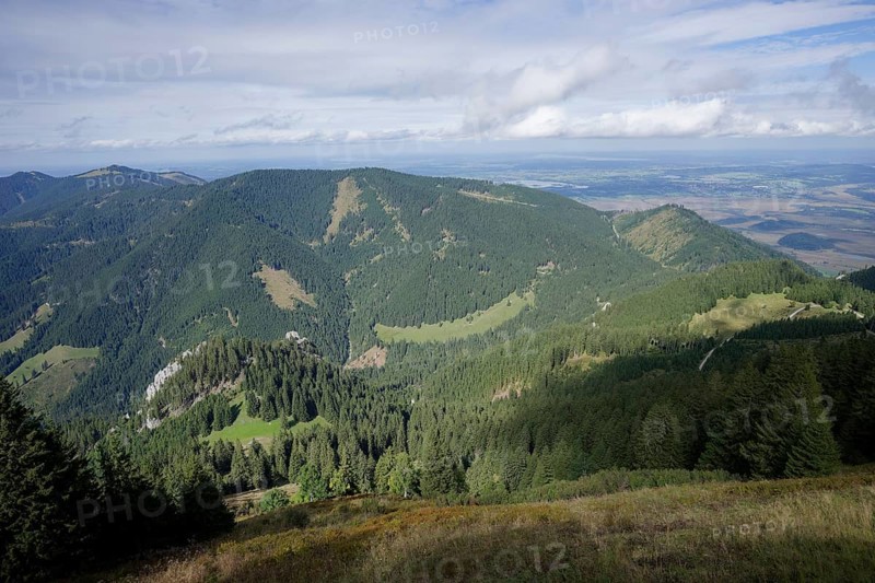 Mountain panorama seen from the Laber, Ammergau Alps, Ammergau, Oberammergau, mountains, Alps, Bavaria, Upper Bavaria, Garmisch-Partenkirchen, Germany