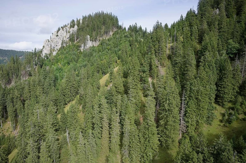 Ammergau Alps, Ammergau, Oberammergau, Laber, mountain, mountain hiking, hiking, mountains, Alps, Bavaria, Upper Bavaria, Garmisch-Partenkirchen, Germany