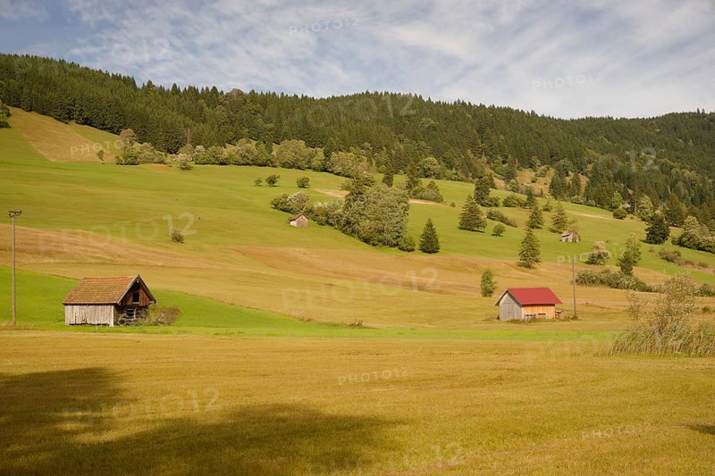Pulvermoos between Oberammergau and Unterammergau, mountain hiking, hiking, moss, wetland biotope, Catholic, Ammergau, Ammergau Alps, Upper Bavaria, Garmisch-Partenkirchen, Alps, Bavaria, holiday, holiday region, active holiday, recreation, holiday, summer holiday, holiday region, Germany