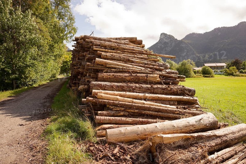 Wood pile by the wayside, renewable raw material, wood, Kofel, mountain, Oberammergau, Catholic, Ammergau, Ammergau Alps, Upper Bavaria, Garmisch-Partenkirchen, Alps, Bavaria, holiday, holiday region, active holiday, recreation, holiday, summer holiday, holiday region, Germany