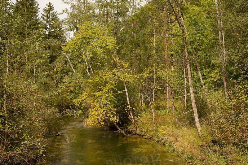 Ettaler Weidemoos, moss, wetland biotope, Oberammergau, Catholic, Ammergau, Ammergau Alps, Upper Bavaria, Garmisch-Partenkirchen, Alps, Bavaria, holiday, holiday region, active holiday, recreation, holiday, summer holiday, holiday region, Germany