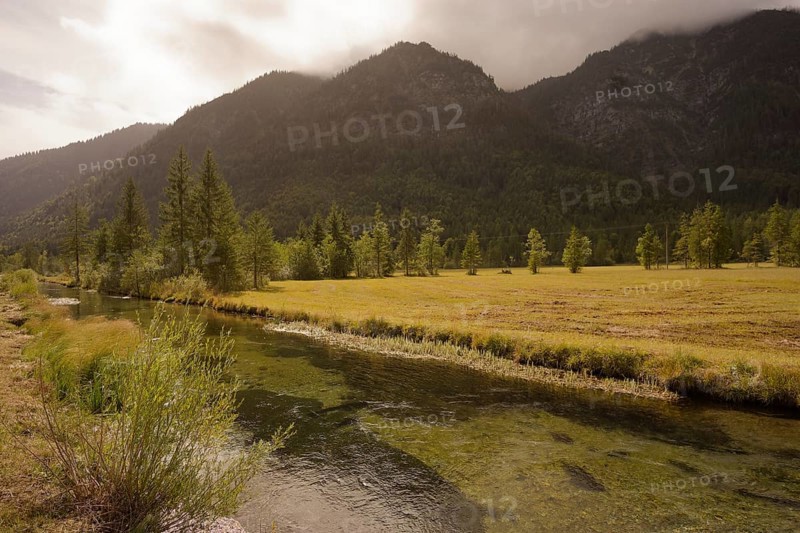 Ettaler Weidemoos, moss, wetland biotope, Oberammergau, Catholic, Ammergau, Ammergau Alps, Upper Bavaria, Garmisch-Partenkirchen, Alps, Bavaria, holiday, holiday region, active holiday, recreation, holiday, summer holiday, holiday region, Germany