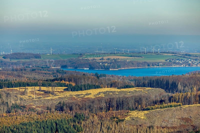 Aerial view, forest area with forest damage and view to the Möhnesee - Hevesee in the district Hüsten in Arnsberg, Sauerland, North Rhine-Westphalia, Germany, Arnsberg, tree mortality, bark beetle damage, bark beetle plague, DE, Europe, spruce mortality, clear-cutting, Wollbergsiepen and Kuhpfadsiepen landscape conservation area, aerial view, aerial photography, aerial photography, overview, bird's-eye view, forest, forest damage, forest damage, forest dieback, Wollbergsiepen and Kuhpfadsiepen landscape conservation area, birds-eyes view, overview