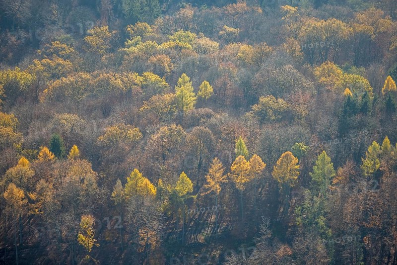 Aerial view, wild forest Voßwinkel forest area in the district Voßwinkel in Arnsberg, Sauerland, North Rhine-Westphalia, Germany, Arnsberg, DE, Europe, mixed deciduous forest, aerial view, aerial photography, aerial photography, mixed forest, overview, bird's-eye view, forest, forest area, birds-eyes view, overview