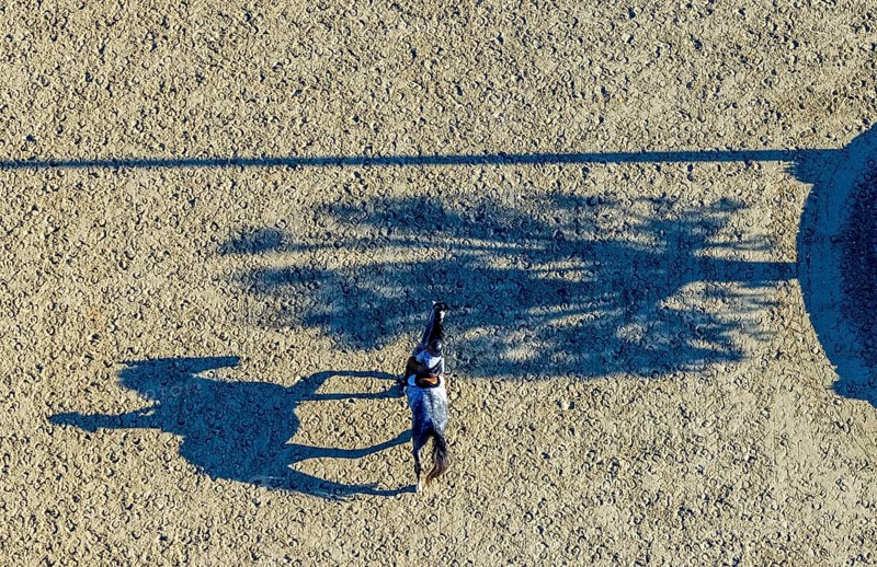 Aerial view, riding training at the riding centre Zucht-Reit und Fahrverein e.V. in the district Voßwinkel in Arnsberg, Sauerland, North Rhine-Westphalia, Germany, Arnsberg, DE, Europe, aerial view, aerial photography, aerial photography, horses, equestrian sports, riding centre, equestrian sports centre, overview, bird's-eye view, overview