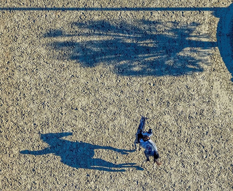 Aerial view, riding training at the riding centre Zucht-Reit und Fahrverein e.V. in the district Voßwinkel in Arnsberg, Sauerland, North Rhine-Westphalia, Germany, Arnsberg, DE, Europe, aerial view, aerial photography, aerial photography, horses, equestrian sports, riding centre, equestrian sports centre, overview, bird's-eye view, overview