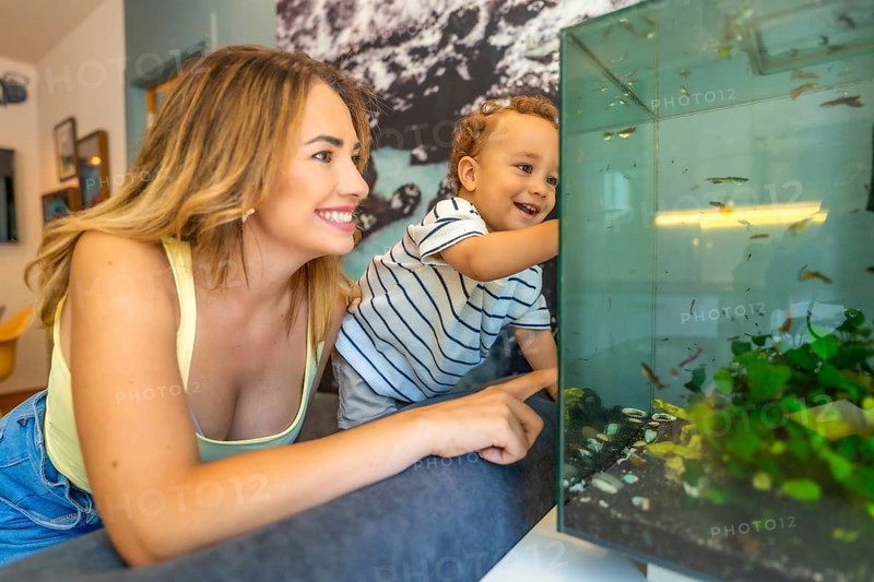 Happy mother and son watching colorful fish swimming in a modern, glass aquarium, enjoying a relaxing moment together at home