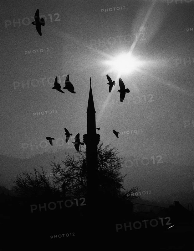 BIH, Bosnia, Sarajevo, 12.01.2006, pigeons flying over a mosque in the old town