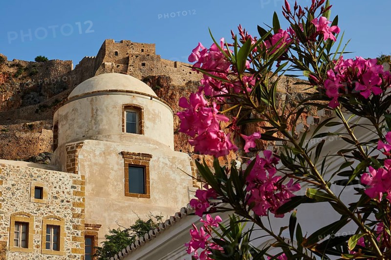 Monochrome church with dome in front of an old fortress, flowers in the foreground, Monemvasia, Monemvassia, Malvasy, small Byzantine town, rocky island, fortress, Laconia, Peloponnese, peninsula, Greece