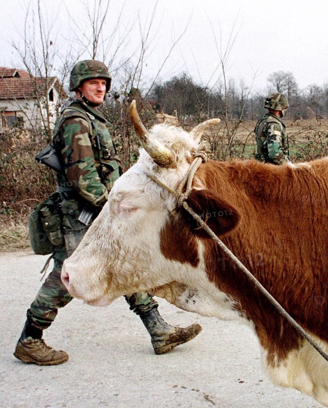 BIH, Bosnia, Brcko, 22.12.1995, American soldiers on patrol