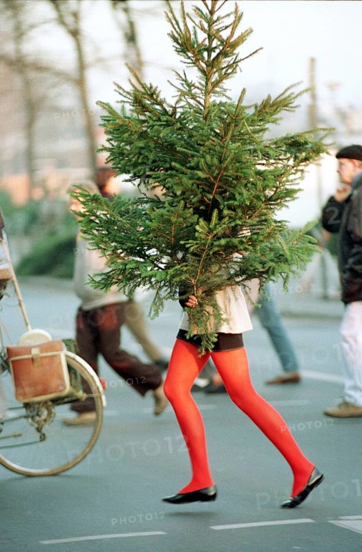 DEU, Frankfurt/Main, 12.12.1994 -- Christmas tree purchase in Frankfurt. -- A colorful long leg x-mastree hurries over a street in downtown Frankfurt. -- Â© Karsten Thielker