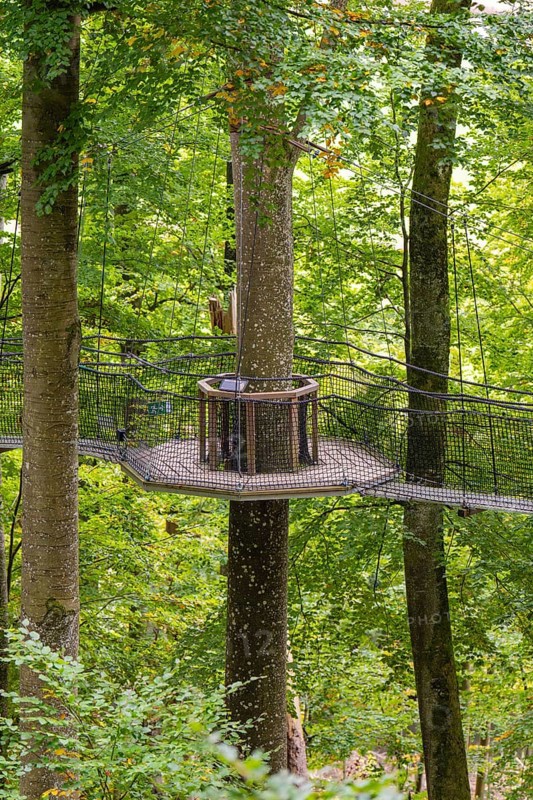 Wooden platform floating between tall trees in the forest, Treewalk, Affenberg Salem, Bodenseekreis, Germany