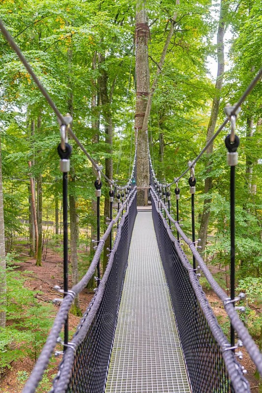 Narrow suspension bridge over treetops in the forest, Treewalk, Affenberg Salem, Bodenseekreis, Germany